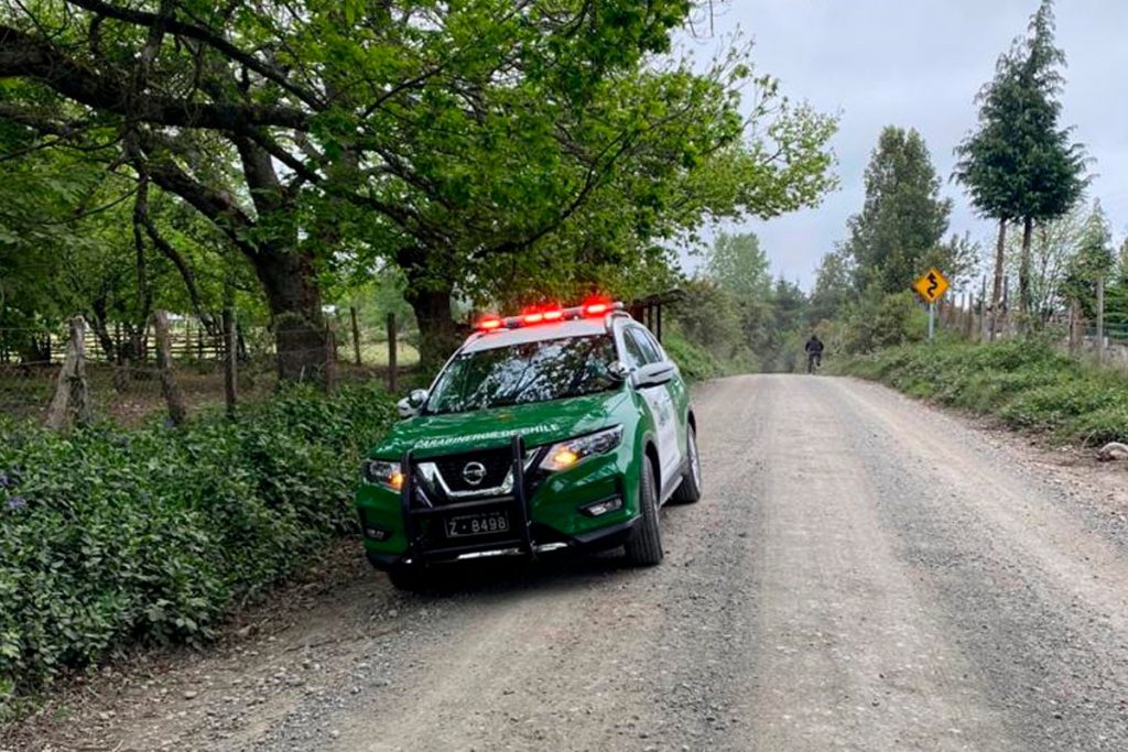 Detienen a dos personas en Panguipulli: Robaron madera y se la llevaron en un camión