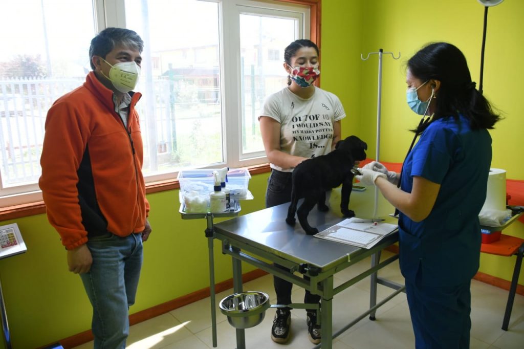 Ofrecerá atención gratuita: Primera clínica veterinaria municipal de Valdivia abrió sus puertas