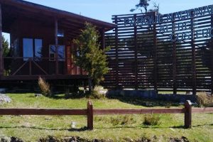 Parque Nacional Alerce Costero vuelve a abrir: Aforo máximo será de 50 visitantes