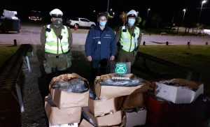 Incautan media tonelada de merluza austral y salmón en un control carretero en La Unión