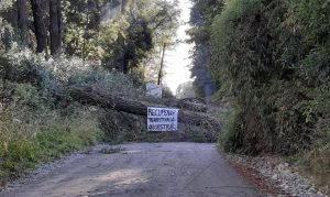 Realizan manifestación con corte de ruta en Panguipulli: Tránsito estaría inhabilitado