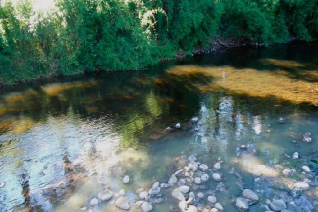 Fuertes olores y residuos sólidos: Formulan cargos contra Municipio de Lanco por descarga de aguas servidas