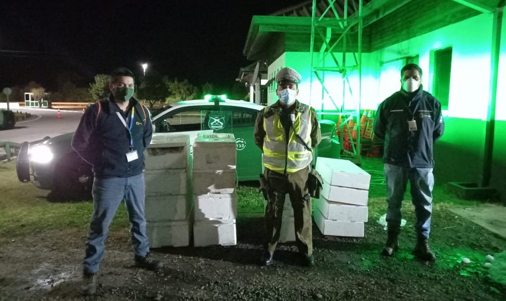 Decomisan más de media tonelada de pescados en control carretero en La Unión