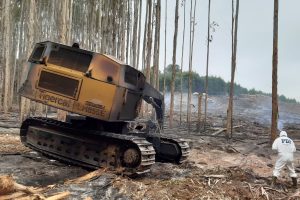 Por Ley Antiterrorista: Gobierno se querelló por ataque incendiario en Fundo de Forestal Mininco en Panguipulli