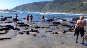 Armada rescató a surfista atrapado en roquerío de playa Pilolcura en Valdivia