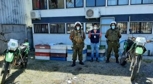 Decomisan más de mil 400 kilos de pescado proveniente de Calbuco que sería vendido en Valdivia