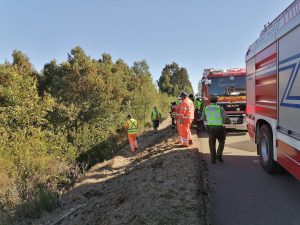 Conductor falleció tras volcar su vehículo en ruta de Paillaco