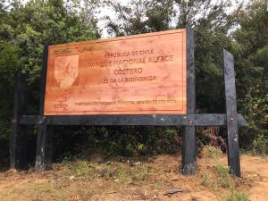 Parque Nacional Alerce Costero reabre sus puertas con aforo máximo de 200 personas por sector