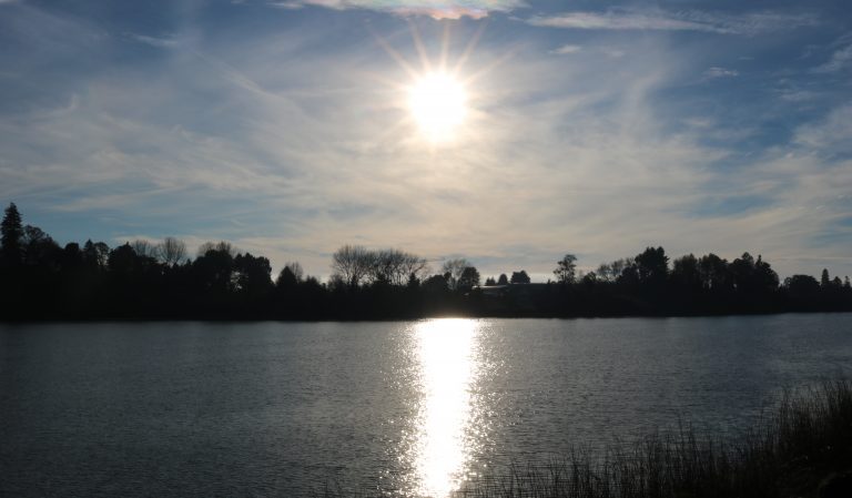 ONEMI Los Ríos declaró Alerta Temprana Preventiva por altas temperaturas en la región