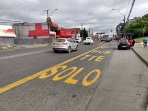 Finalizan obras de demarcación de pista prioritaria para transporte público en calle Picarte de Valdivia