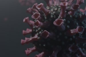 Los Ríos registró 83 nuevos contagios de Coronavirus con una positividad diaria del 15,1%