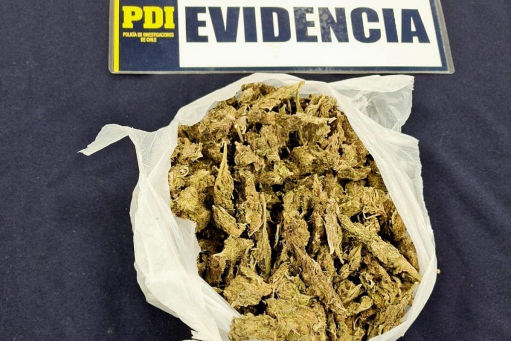 Marihuana y cocaína entre las drogas más incautadas por la PDI en 2022 en Los Ríos