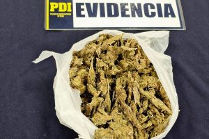 Marihuana y cocaína entre las drogas más incautadas por la PDI en 2022 en Los Ríos