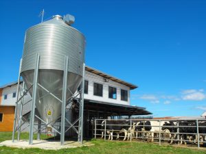 Instalaciones agropecuarias de la UACh han sufrido tres robos en los últimos días