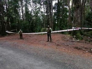 Calcinado fue hallado el cuerpo de un hombre en un camino de Neltume