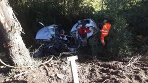 Conductor falleció tras colisionar contra un árbol en la Ruta 5 Sur en Máfil