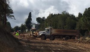 Tras quejas de vecinos: MOP suspende tránsito de camiones dedicados a faenas en ruta costera de Valdivia