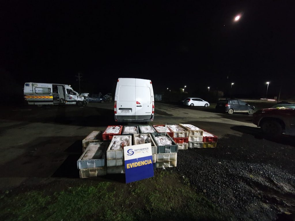 Valdivia: Decomisan más de mil 400 kilos de pescado provenientes desde Puerto Montt