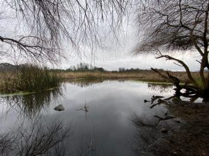 Comité Ecológico Angachilla acusa incumplimientos del gobierno en proyecto Avenida Circunvalación