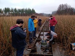 La UACh creó en Valdivia robot "Humedat@" que medirá indicadores de agua en humedales