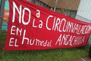 Organizaciones protestan contra licitación de proyecto de Circunvalación por el Humedal Angachilla