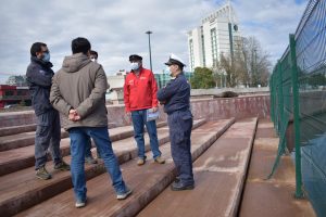 Valdivia: A fin de año cambiarán rejas de la Costanera para impedir paso de lobos marinos