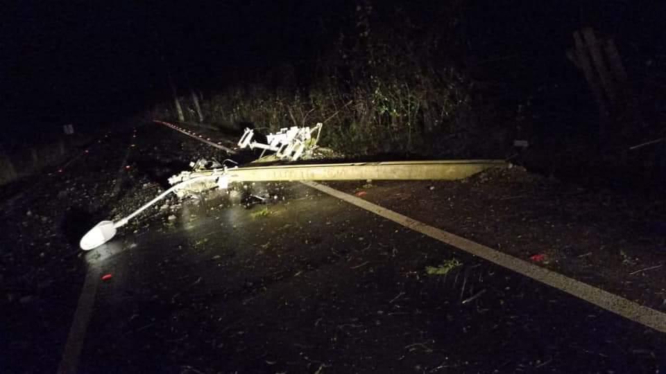 Voladuras de techumbre y caídas de árboles deja intenso viento en la Región de Los Ríos