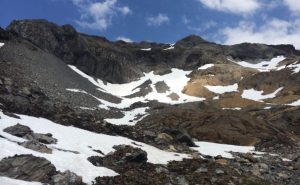 CONAF de Los Ríos administrará el sector norte del Parque Nacional Puyehue