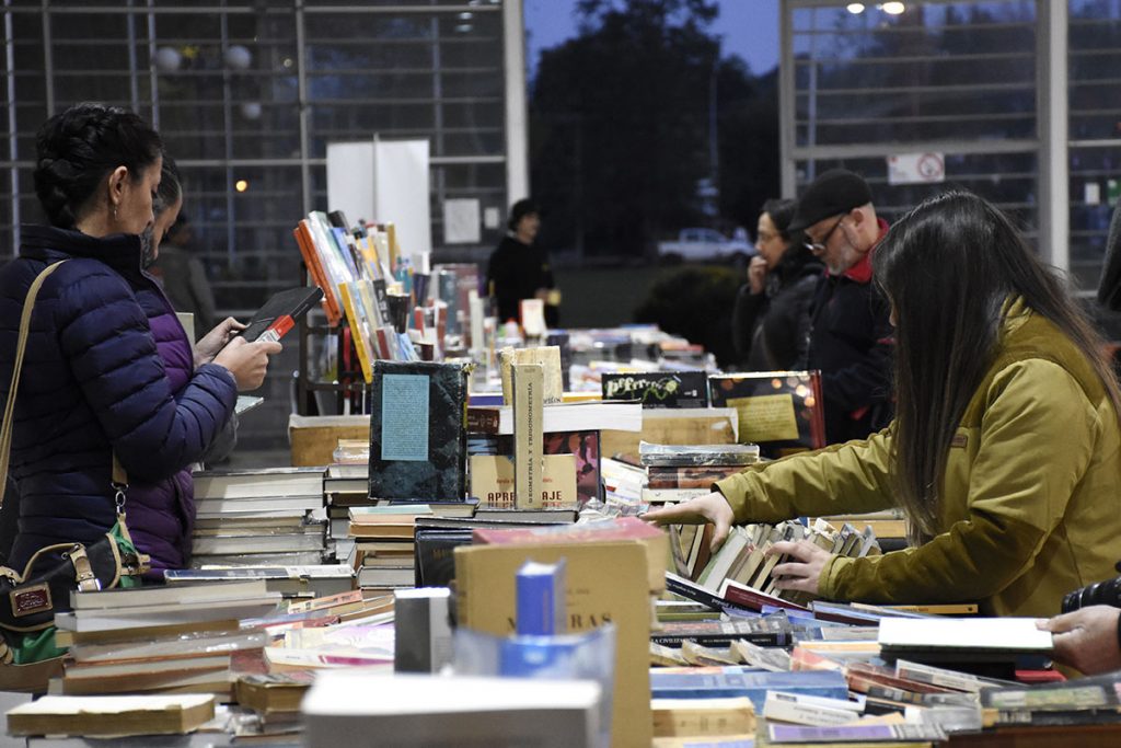 Feria del Libro tendrá su vigésimo novena versión en el Parque Saval de Valdivia