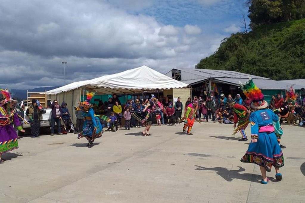 Festival de las Plantas continúa este fin de semana en Caleta El Piojo de Niebla