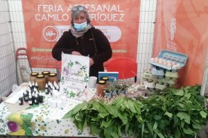 Expositores ofrecen productos del área rural en feria del paseo Camilo Henríquez de Valdivia