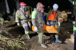 Hombre murió tras desbarrancarse el tractor que operaba en Panguipulli