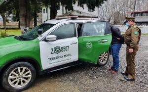 Gobierno se querellará por hurto de madera en predio forestal de Máfil: Hay dos detenidos