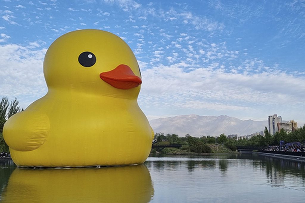 El Pato de Hule ya tiene fecha para navegar en aguas valdivianas