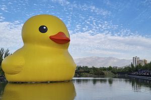 El Pato de Hule ya tiene fecha para navegar en aguas valdivianas