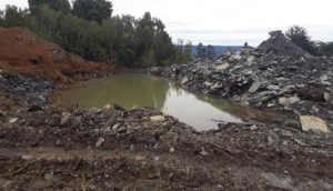 CDE interpuso demanda por daño ambiental por proyectos inmobiliarios en la costa de Valdivia