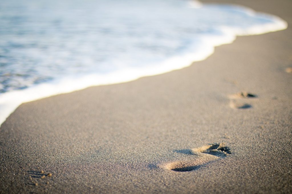 Las playas de la Región de Los Ríos que ya acumulan denuncias por problemas de acceso