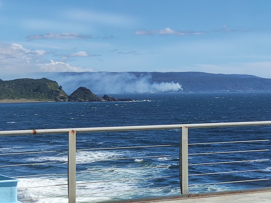 Incendio forestal consumió matorrales y bosque nativo en el sector San Carlos de Corral