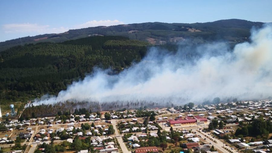 Cuatro incendios forestales se mantienen en combate en Los Ríos y Lanco sigue en Alerta Roja