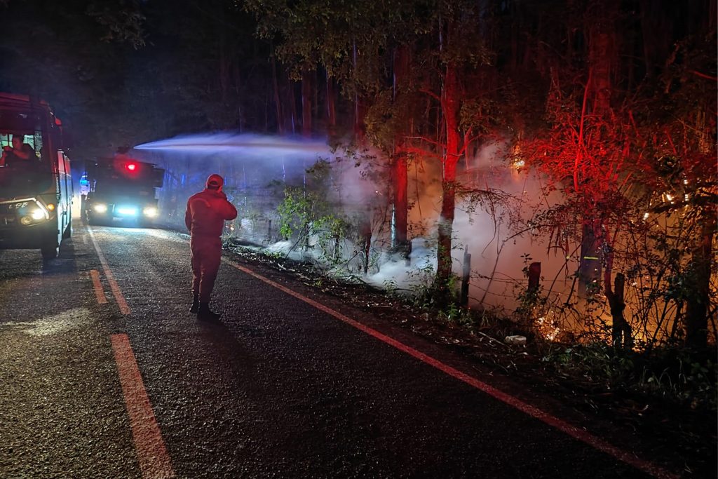 Solicitan evacuación preventiva en sectores aledaños a incendio forestal en Paillaco