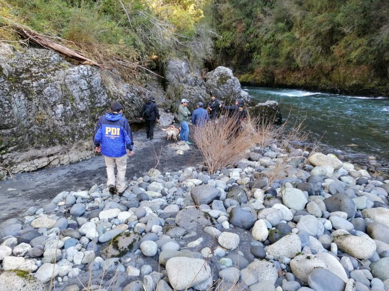 Encuentran osamentas que corresponderían a hombre desaparecido hace siete meses en Futrono