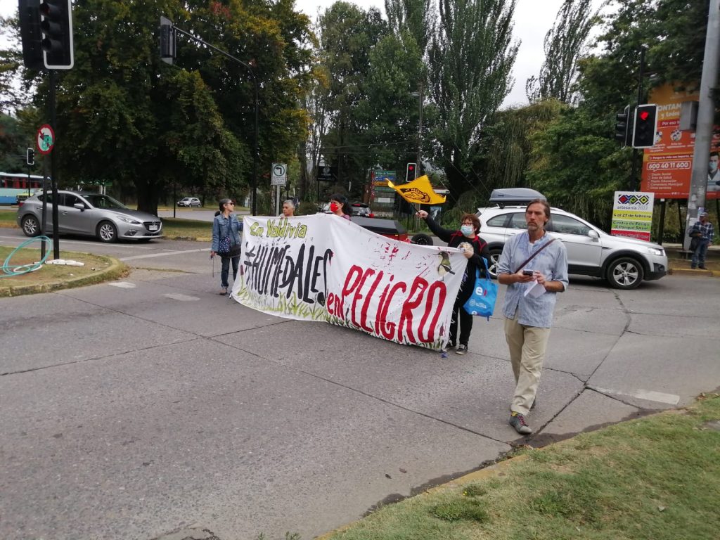 Tras reclamaciones: Agrupaciones acusan a particulares de querer destruir humedales en Valdivia