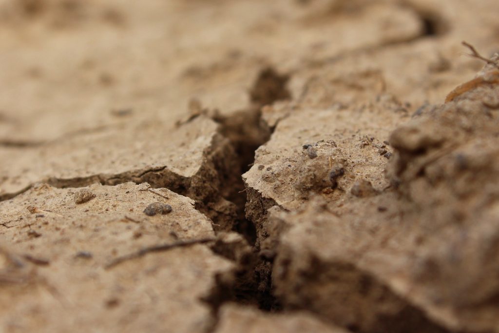 Director del Centro de Humedales por Día del Agua: “No parecemos entender el tamaño del problema”