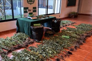 Incautan más de 8 kilos de droga en Los Lagos avaluada en $80 millones