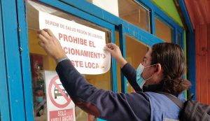 Prohíben funcionamiento en tres colegios de Valdivia por hallazgo de fecas de ratones