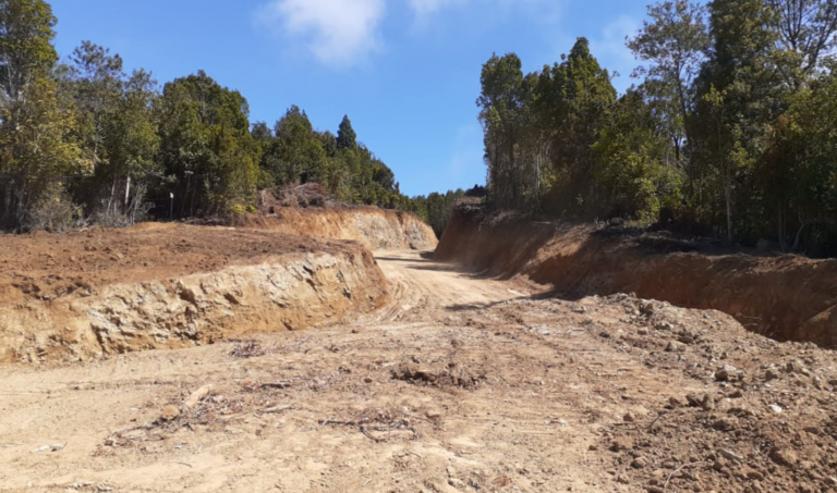 Los Ríos: Director nacional de ONEMI llamó a “evitar” construcciones y proyectos en zonas de riesgo