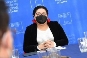 Delegada Peña niega hito comunicacional convocado por los 100 días y culpa a su equipo