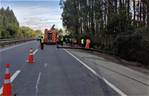 Una mujer falleció tras un volcamiento en Mariquina: Conductor está grave