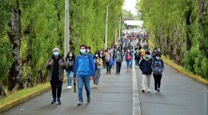 UACh confirmó ingreso temporal de locomoción colectiva al Campus Isla Teja