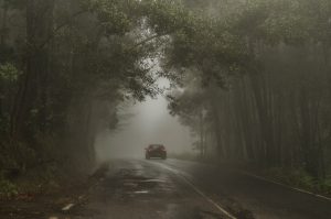 Rachas de viento sobrepasarían los 80 kilómetros por hora durante esta madrugada en Los Ríos